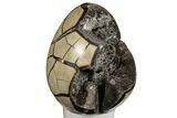 Septarian Dragon Egg Geode - Barite Crystals #196262-1